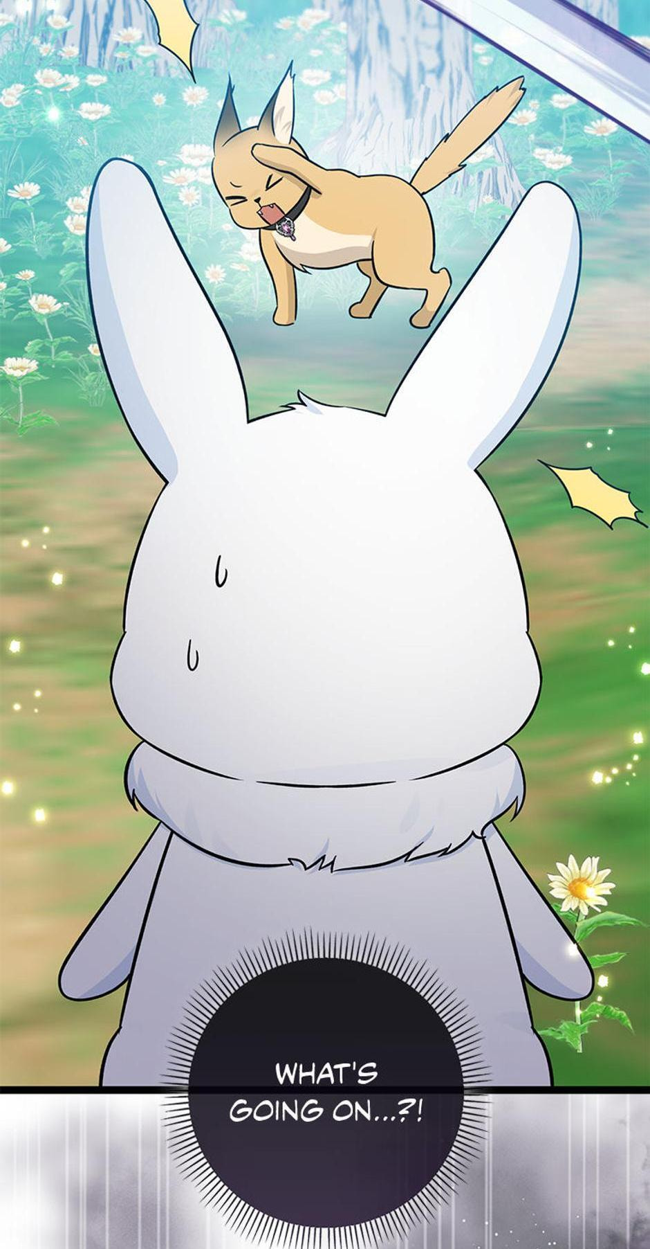 I'm a Beast, Not a Bunny! Chapter 31 page 34 - 