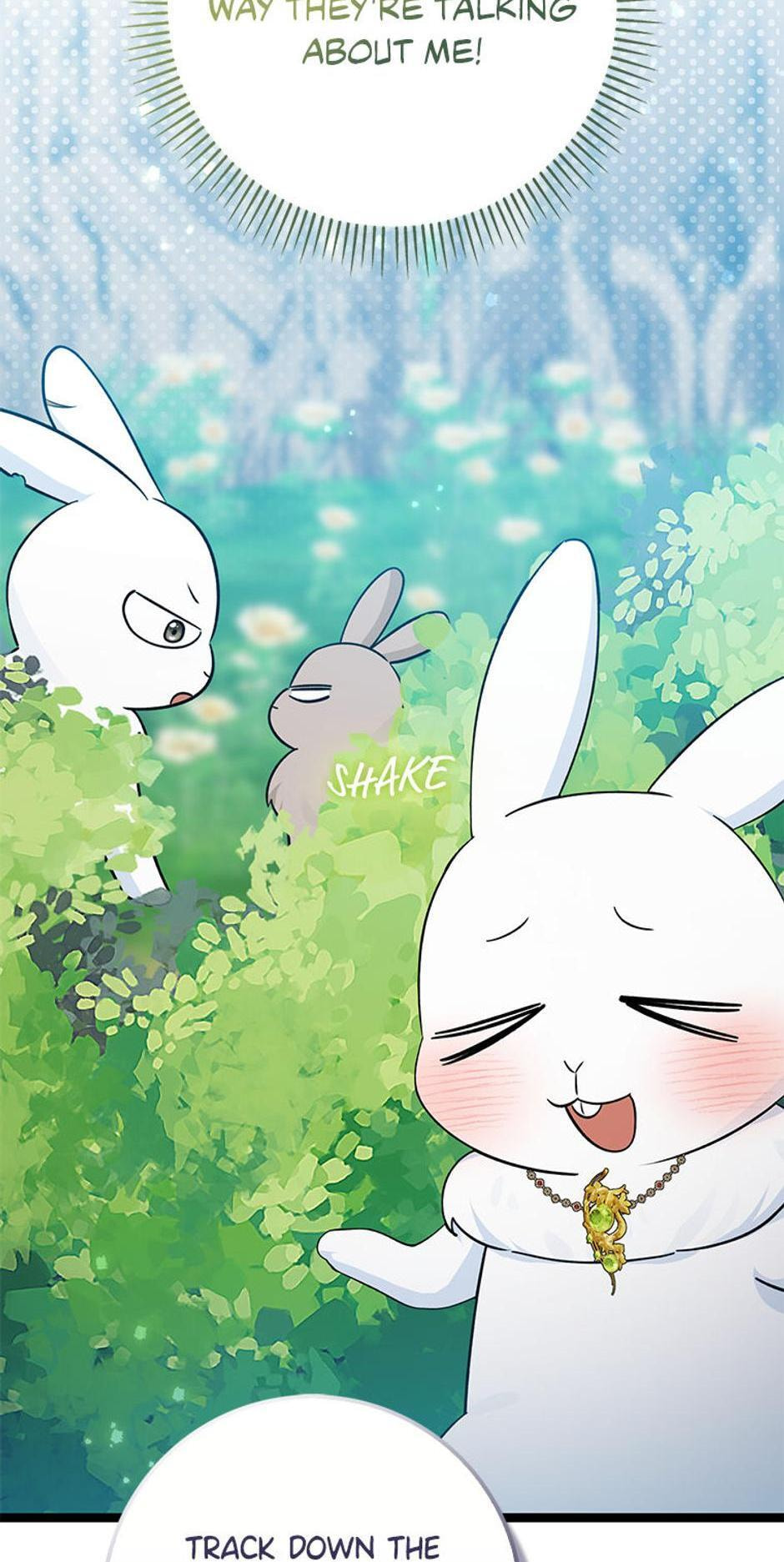 I'm a Beast, Not a Bunny! Chapter 31 page 45 - 