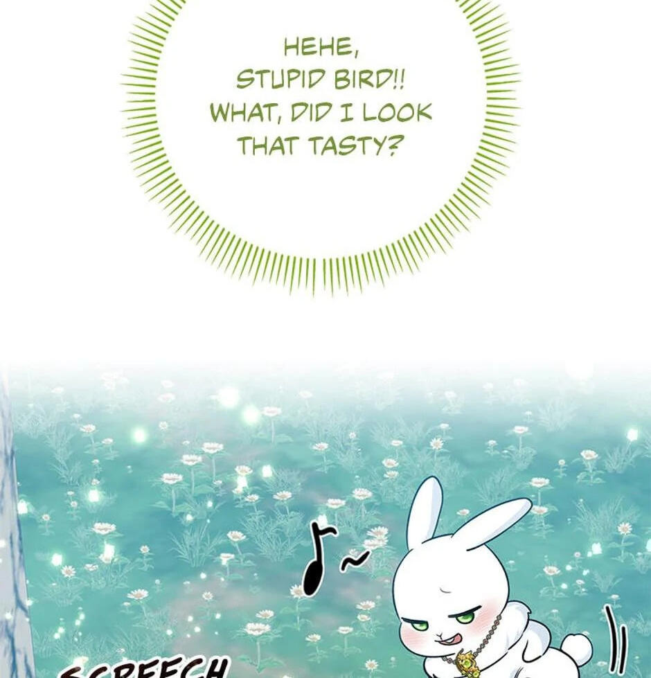I'm a Beast, Not a Bunny! Chapter 31 page 8 - 
