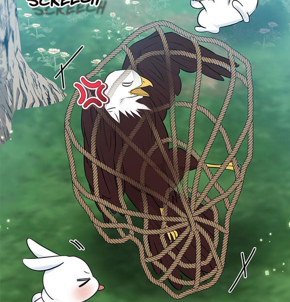I'm a Beast, Not a Bunny! Chapter 31 page 9 - 