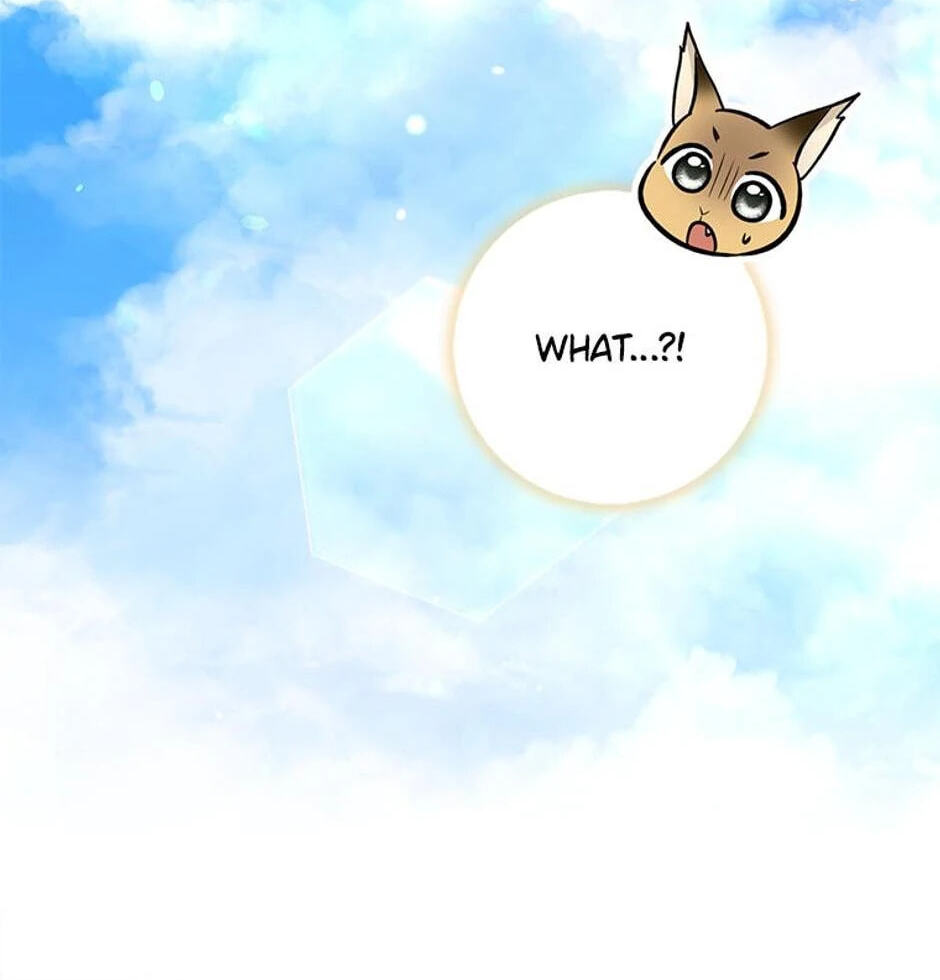 I'm a Beast, Not a Bunny! Chapter 32 page 87 - 