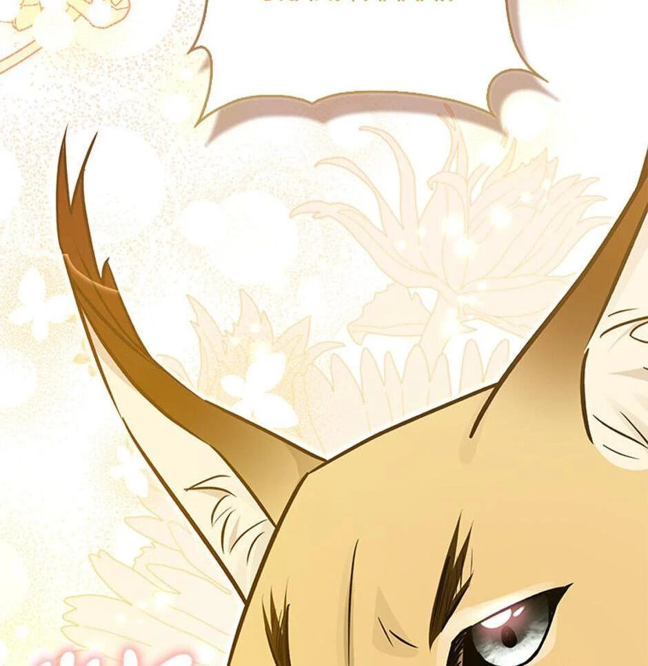 I'm a Beast, Not a Bunny! Chapter 33 page 148 - 