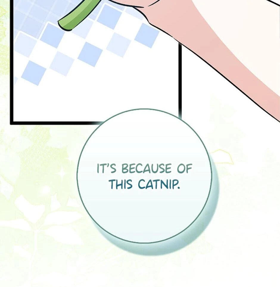 I'm a Beast, Not a Bunny! Chapter 33 page 42 - 