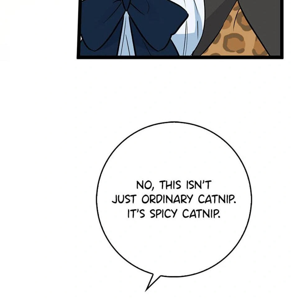 I'm a Beast, Not a Bunny! Chapter 33 page 49 - 