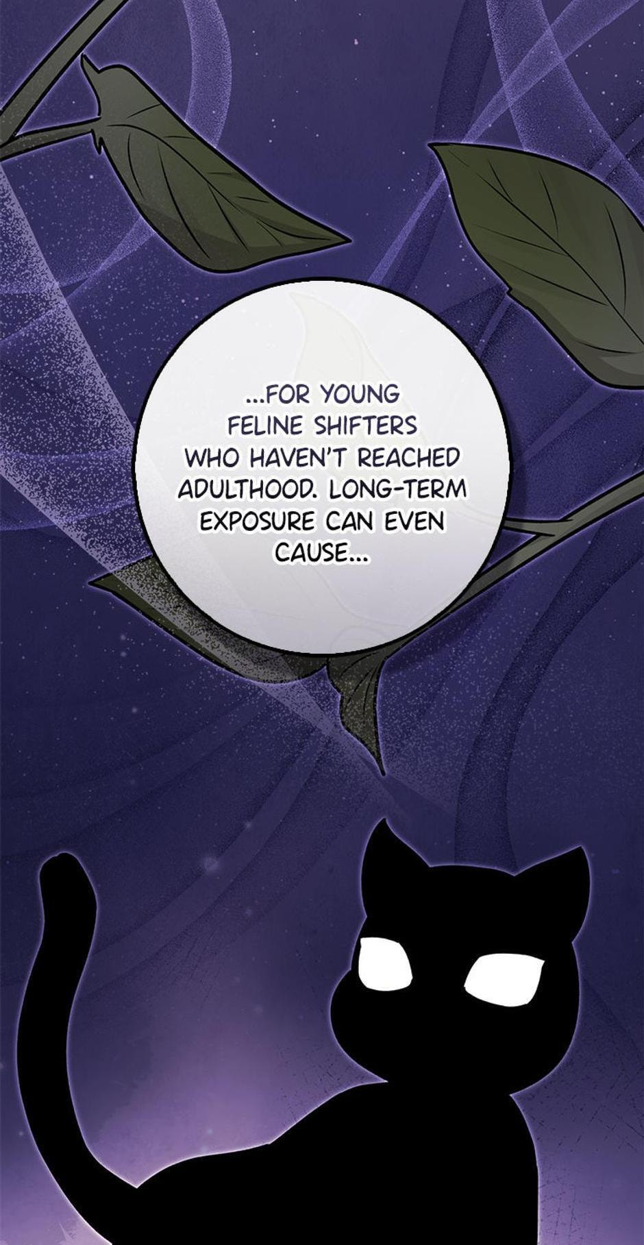 I'm a Beast, Not a Bunny! Chapter 33 page 53 - 