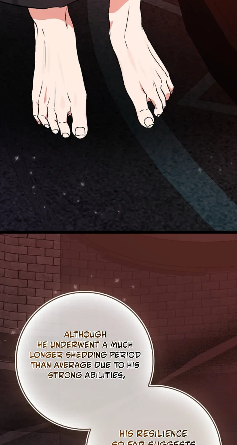 I'm a Beast, Not a Bunny! Chapter 54 page 66 - 