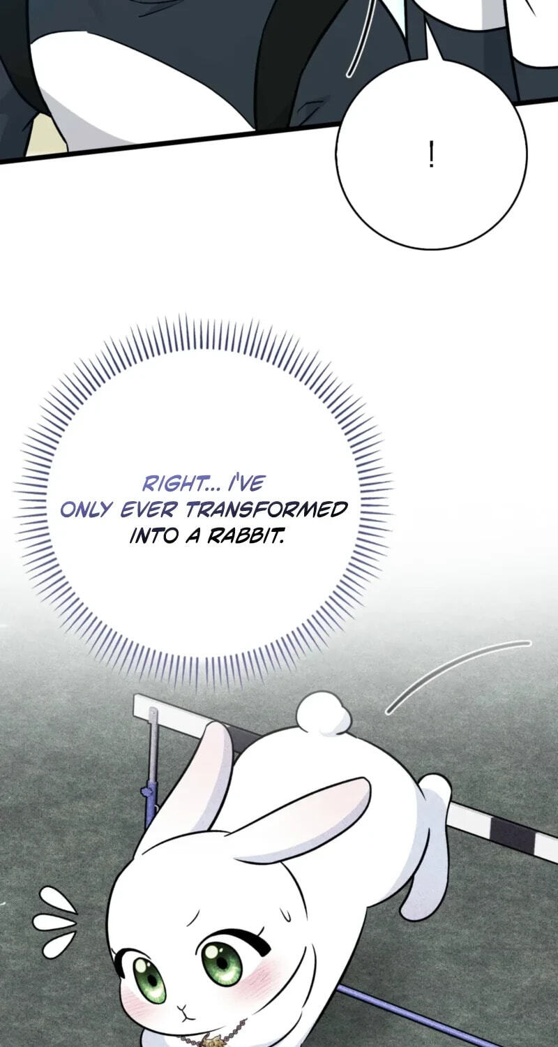 I'm a Beast, Not a Bunny! Chapter 65 page 5 - 