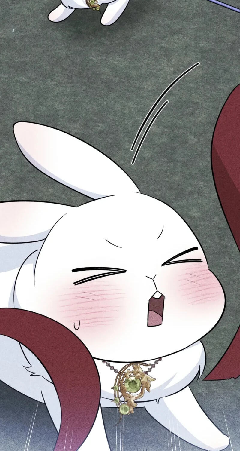 I'm a Beast, Not a Bunny! Chapter 65 page 6 - 