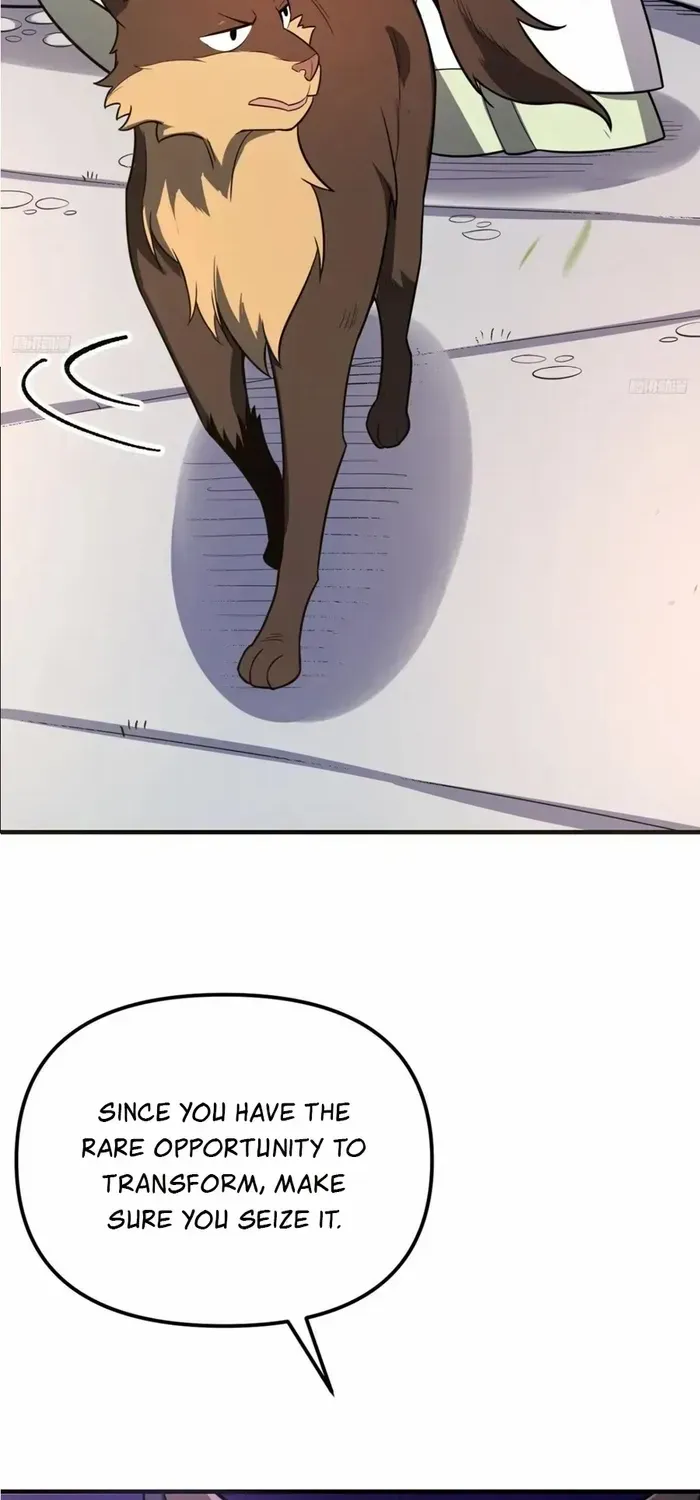 I’m Actually a Cultivation Bigshot Chapter 543 page 6 - 