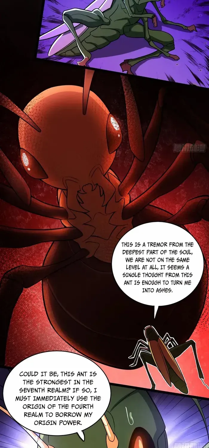 I’m Actually a Cultivation Bigshot Chapter 562 page 26 - 