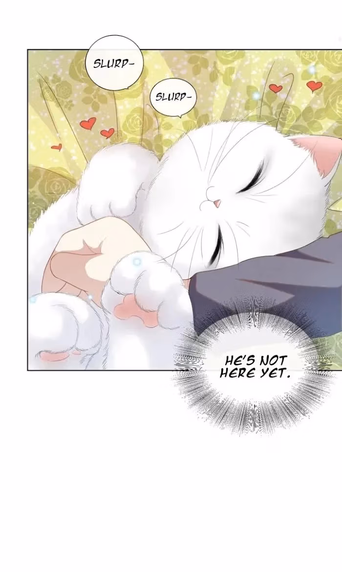 Read I’m His Devious Romeo chapter 130.5 image 13 on Lezhin