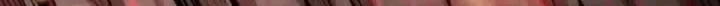 I’m Really Not the Evil God’s Lackey Chapter 118 page 15 - 