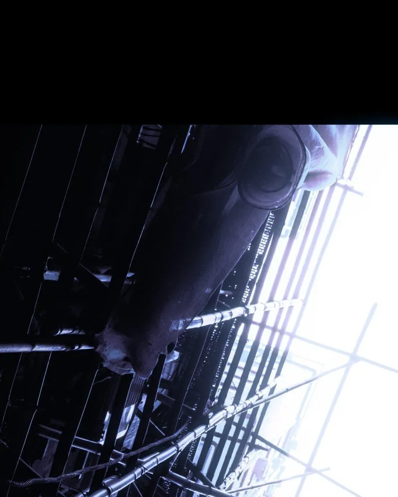 Read I’M The Grim Reaper chapter 50 image 3 on Lezhin