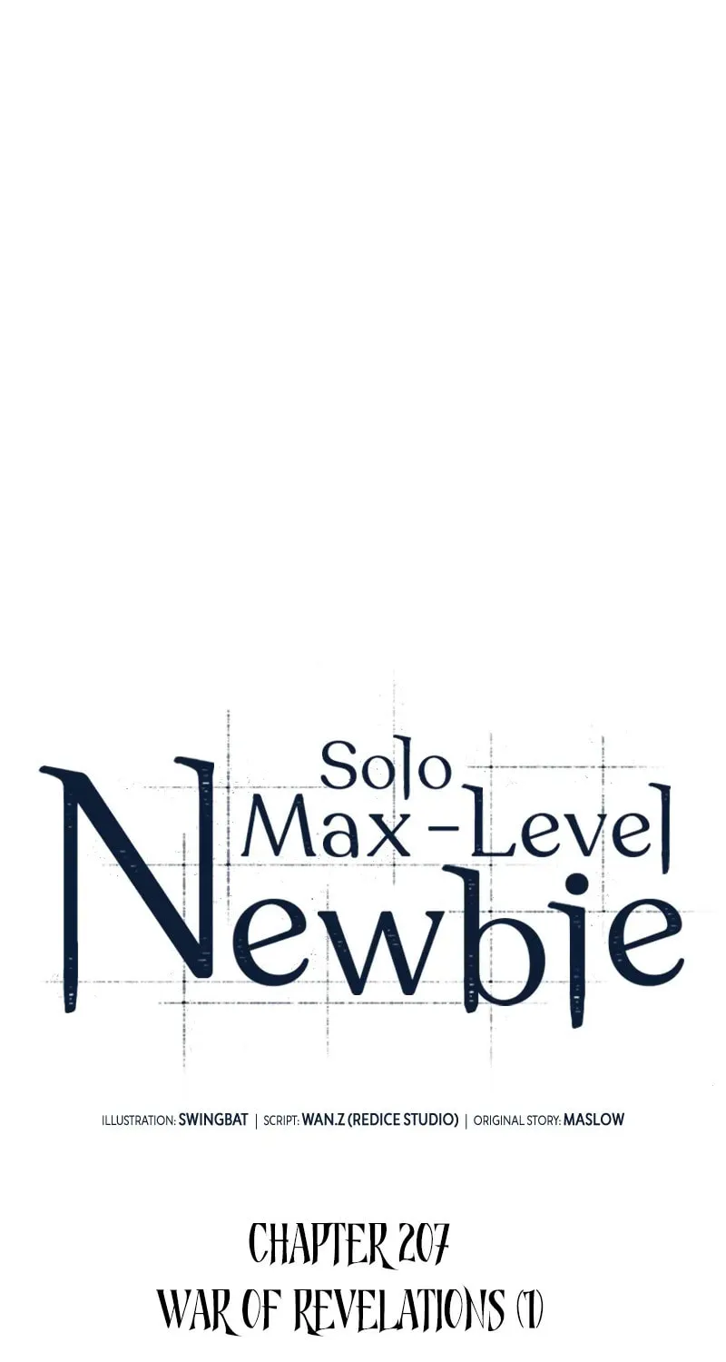 I’m the Max-Level Newbie Chapter 207 page 17 - 