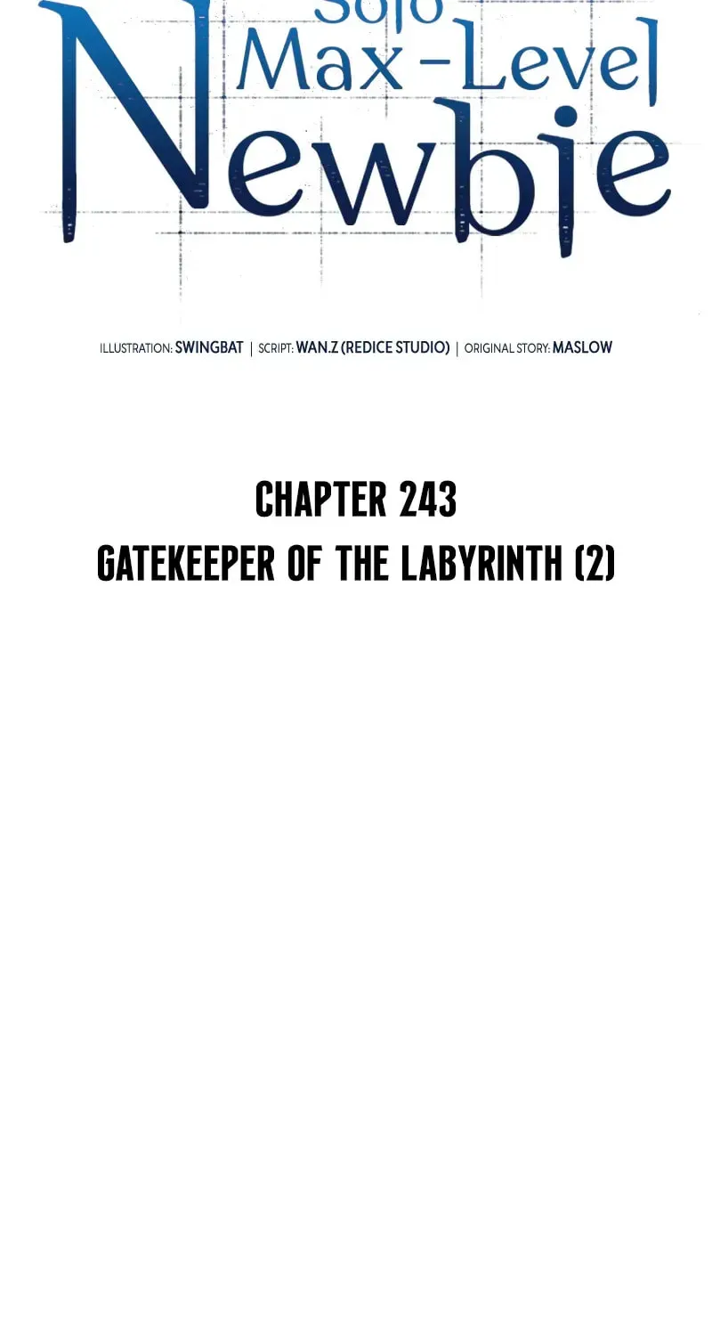 Read I’m the Max-Level Newbie chapter 3.2 image 34 on Lezhin