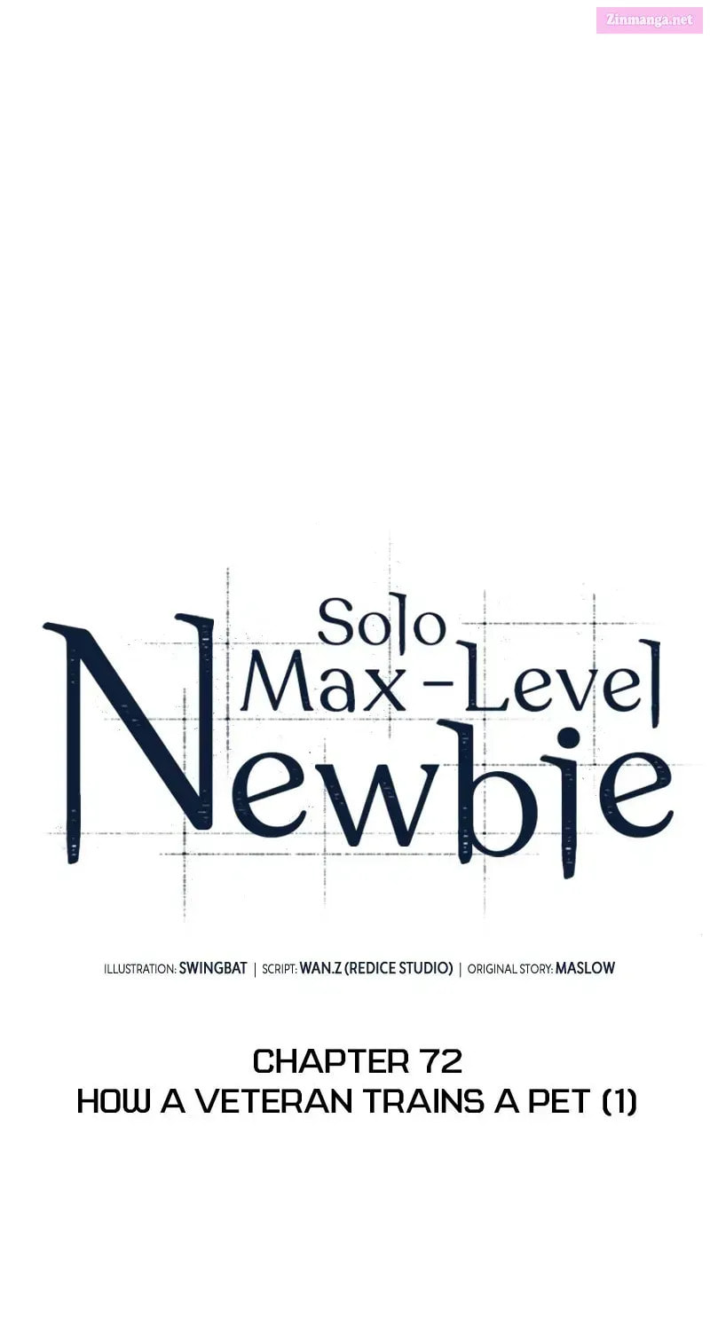 Read I’m the Max-Level Newbie chapter 72.1 image 36 on Lezhin