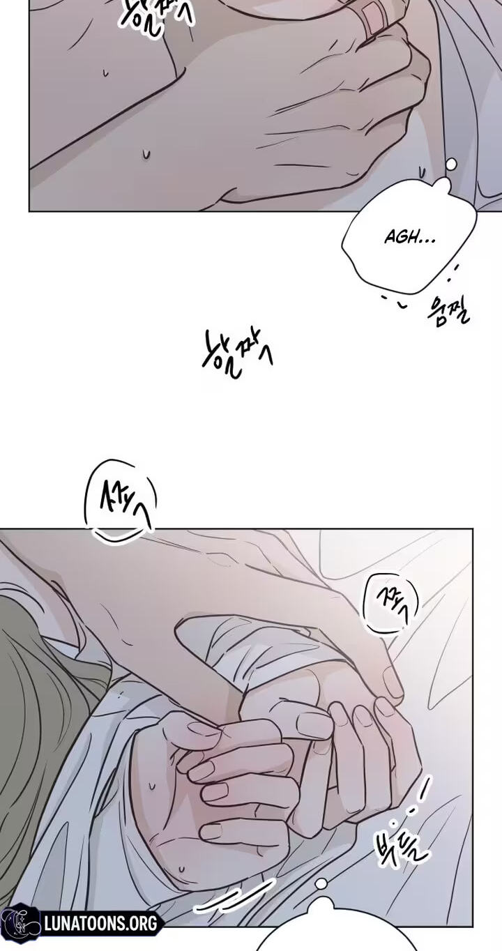 I'm Your Revenge Chapter 1 page 19 - 