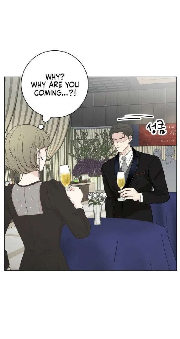 I'm Your Revenge Chapter 15 page 29 - 