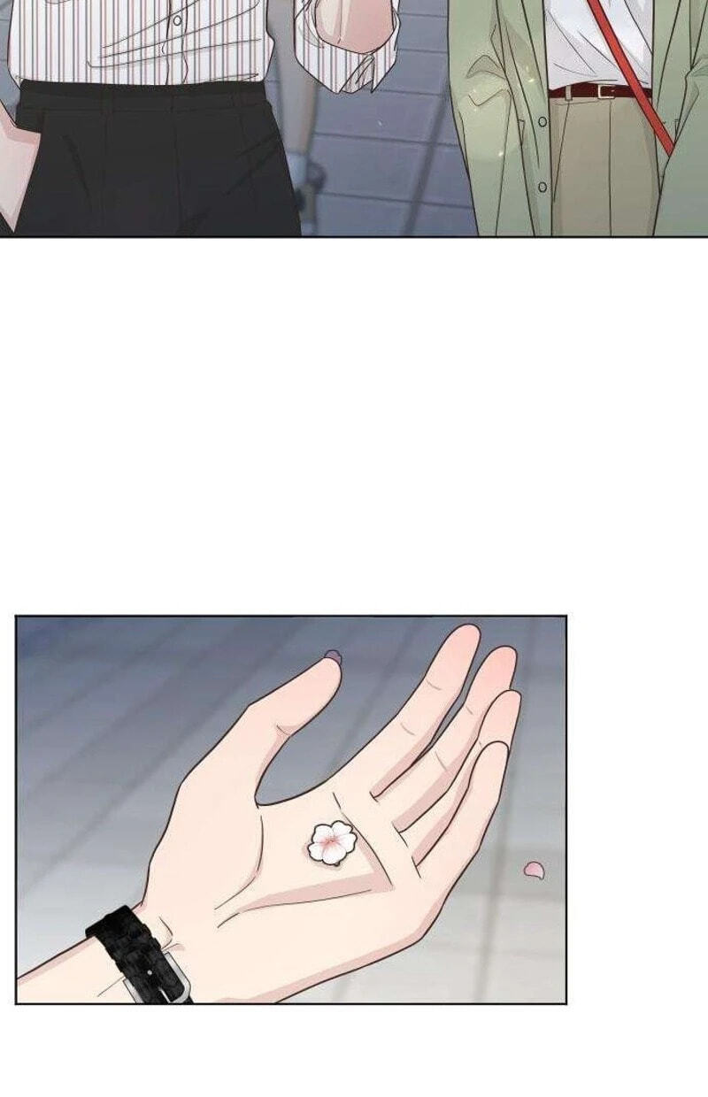 I'm Your Revenge Chapter 20 page 32 - 