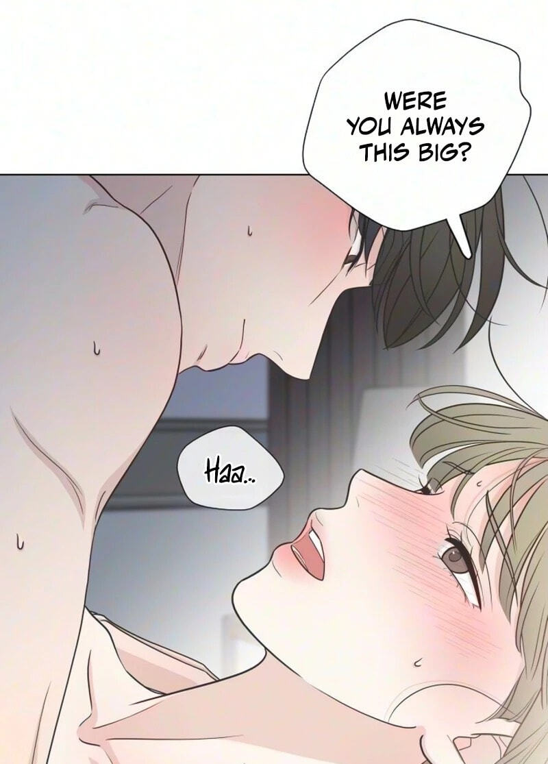 I'm Your Revenge Chapter 23 page 12 - 