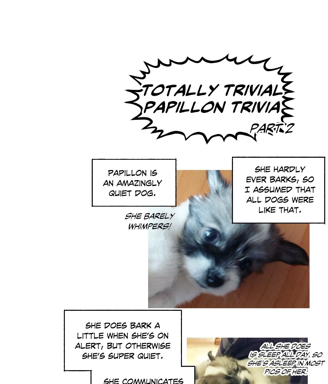 Read Immortal Days chapter 168 image 29 on Lezhin