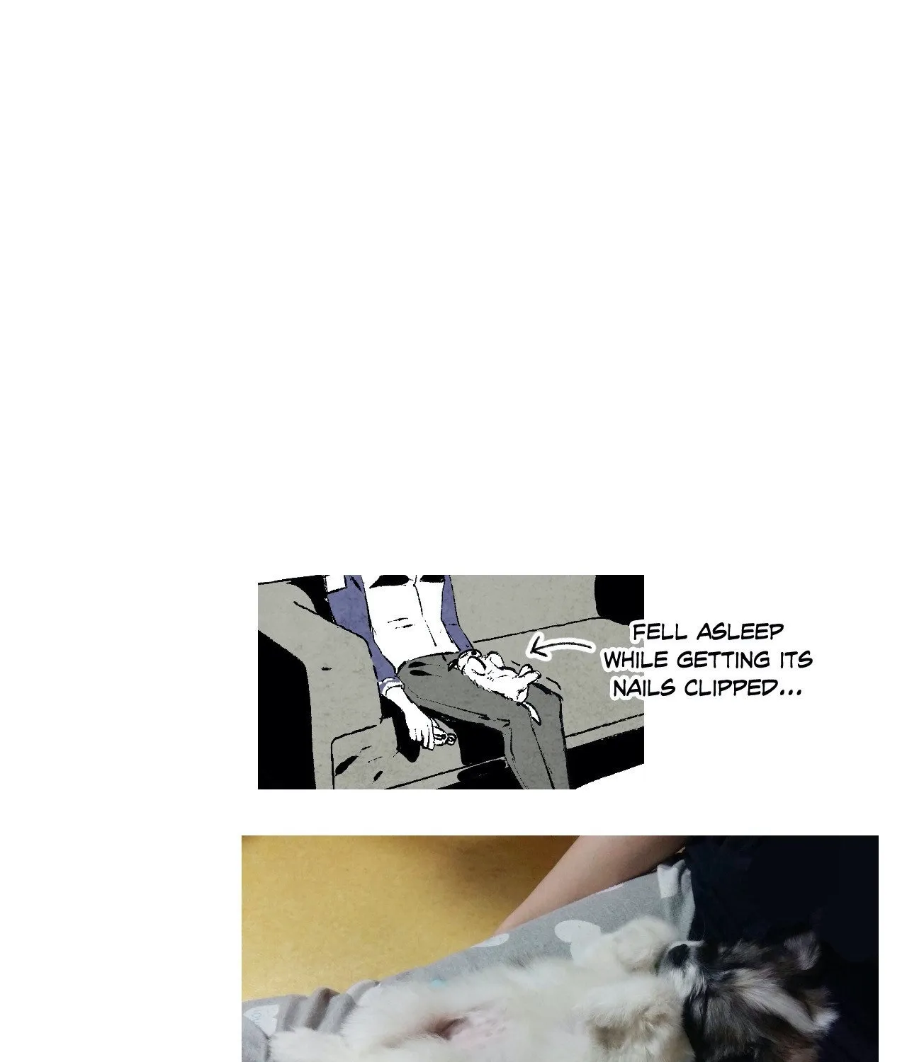 Read Immortal Days chapter 181 image 28 on Lezhin
