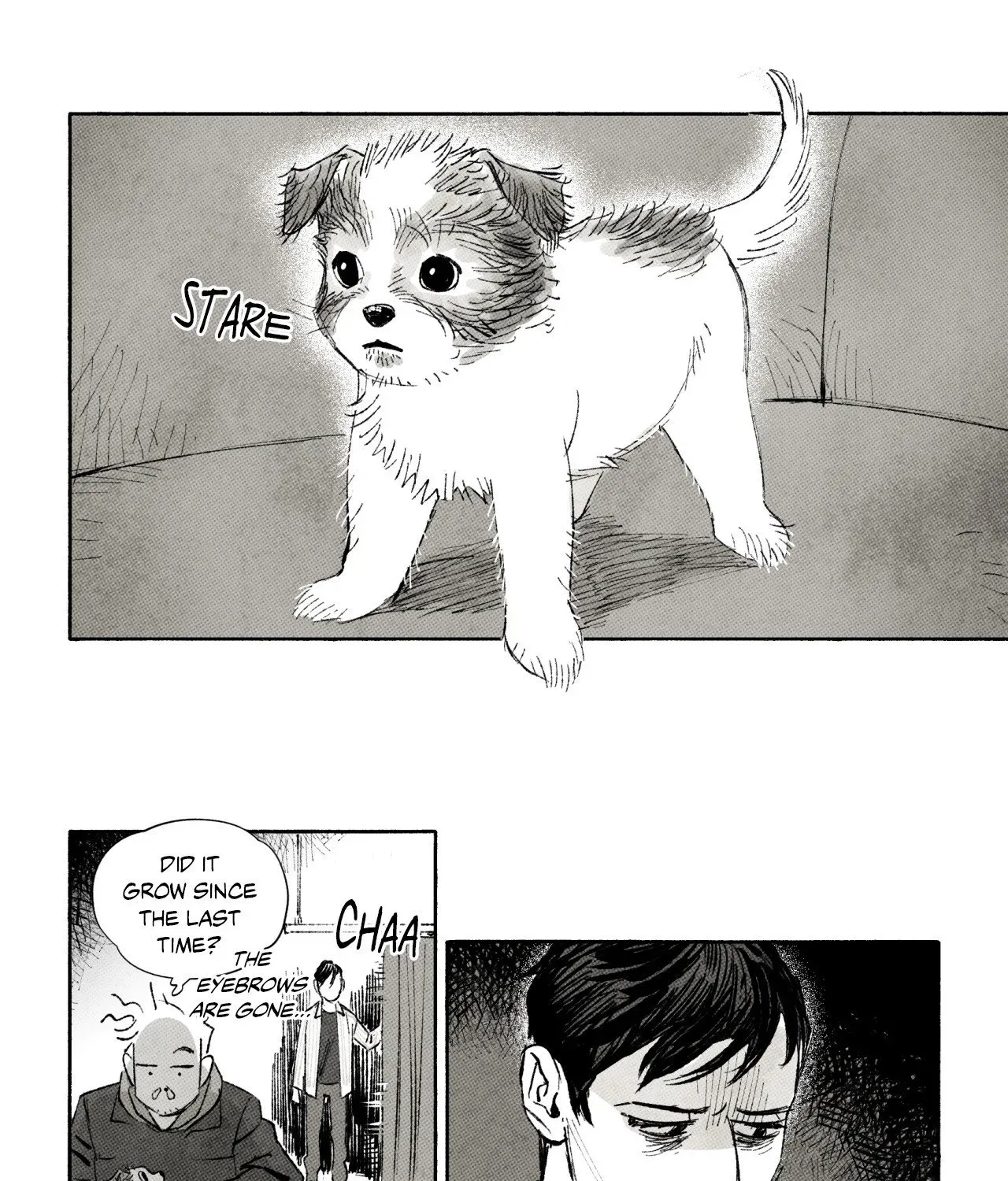 Read Immortal Days chapter 256 image 17 on Lezhin