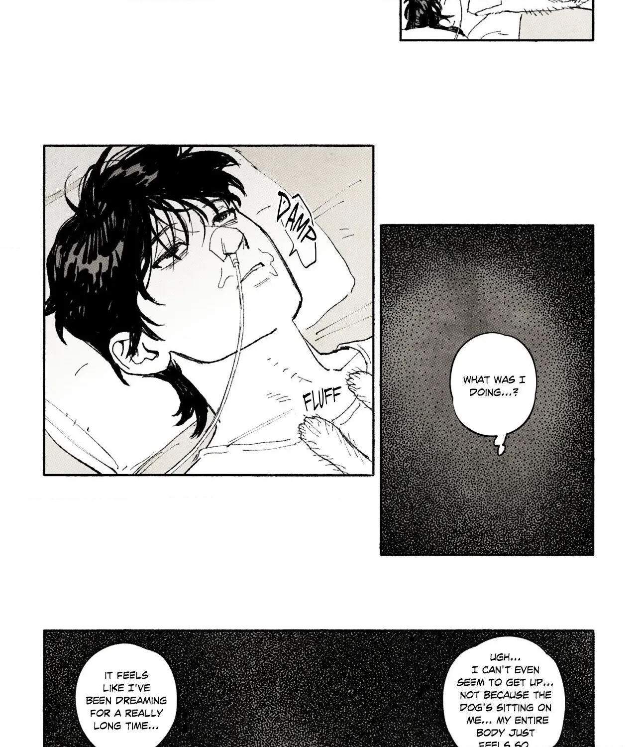 Read Immortal Days chapter 294 image 6 on Lezhin