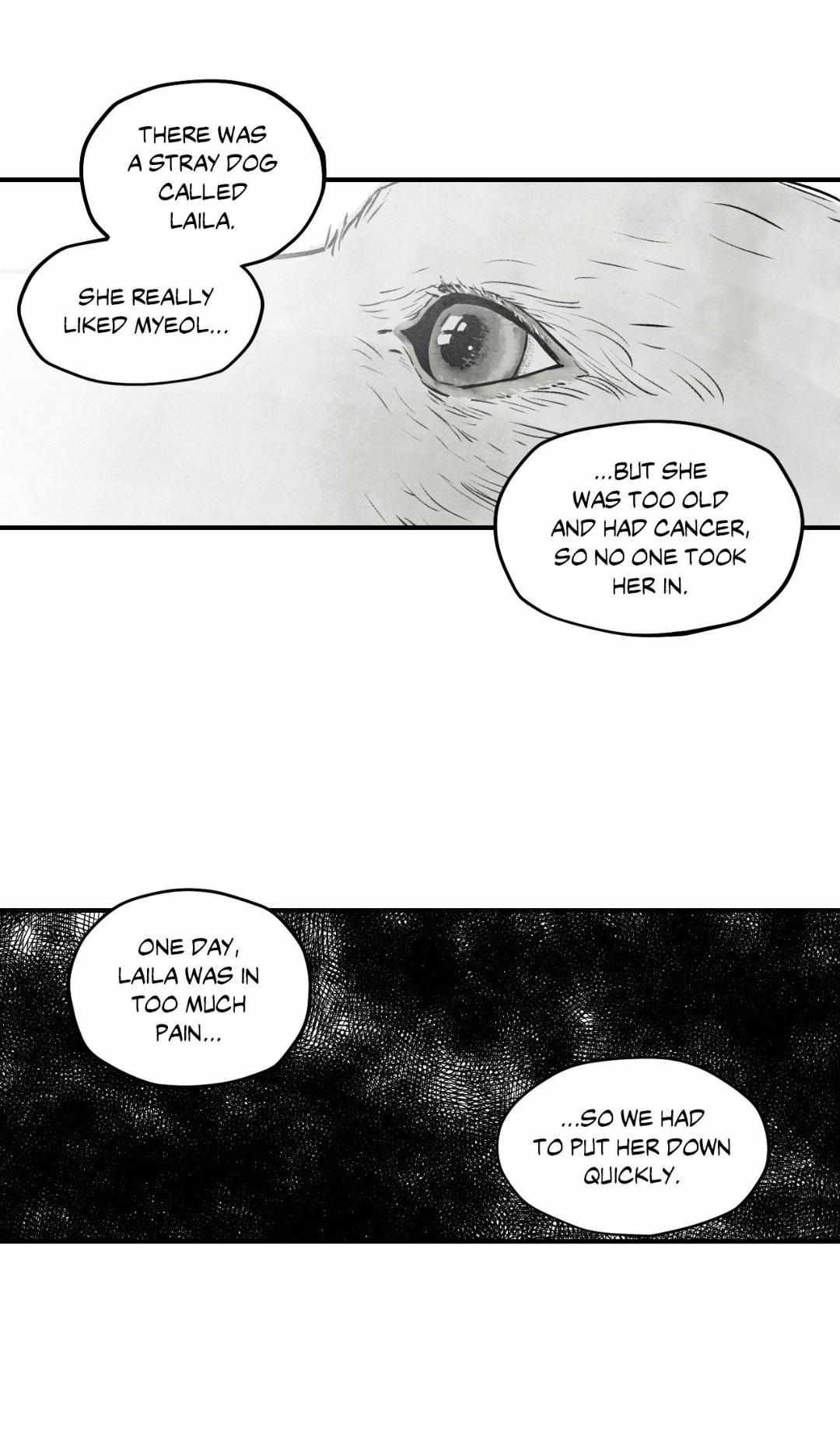 Read Immortal Days chapter 48 image 4 on Lezhin