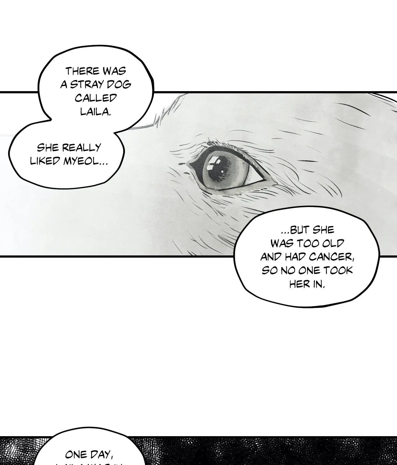Read Immortal Days chapter 49 image 8 on Lezhin