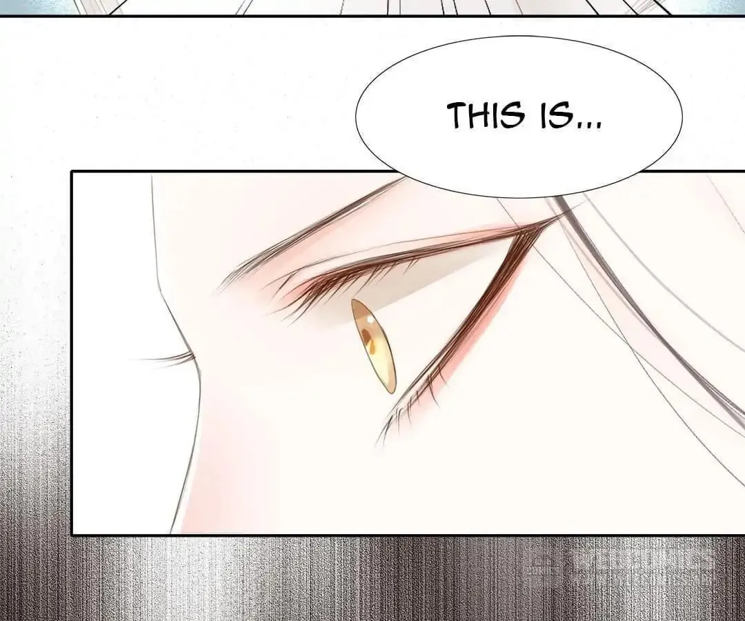 Read Immortals Down Under chapter 19 image 25 on Lezhin