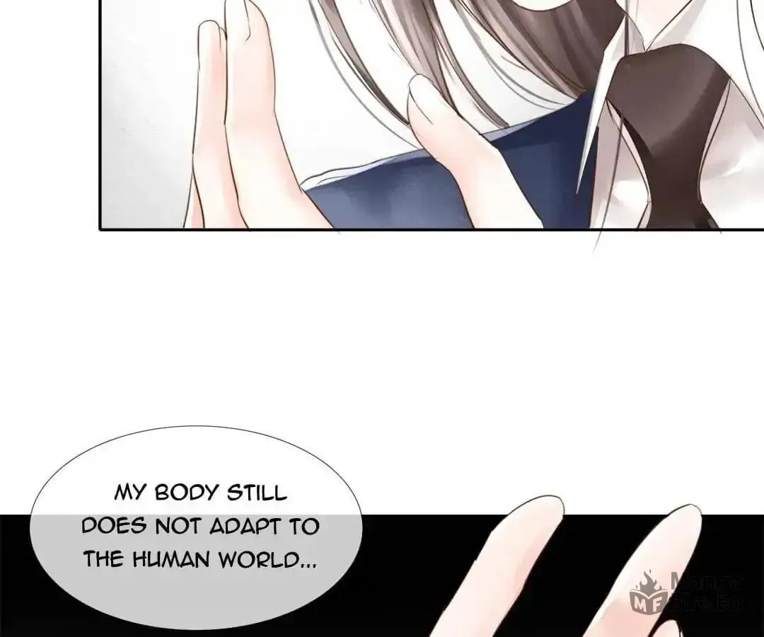 Read Immortals Down Under chapter 36 image 47 on Lezhin