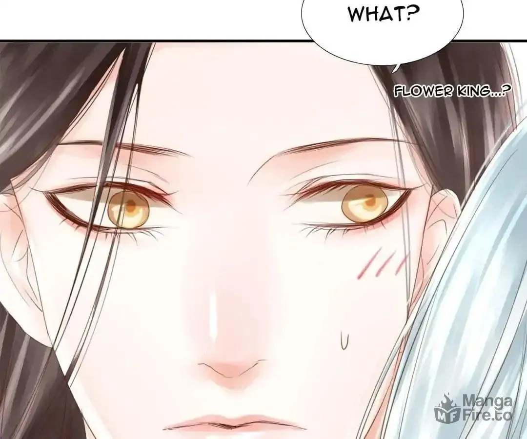 Immortals Down Under Chapter 61 page 36 - 
