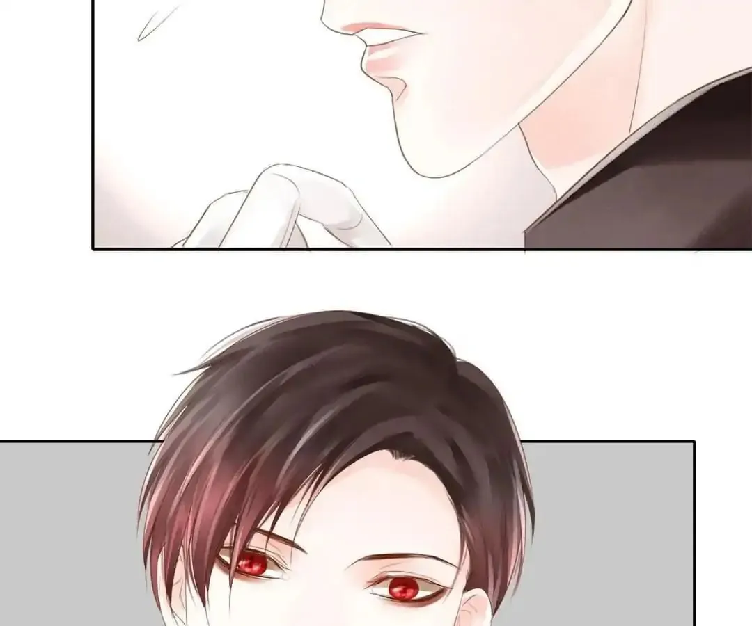 Immortals Down Under Chapter 64 page 41 - 