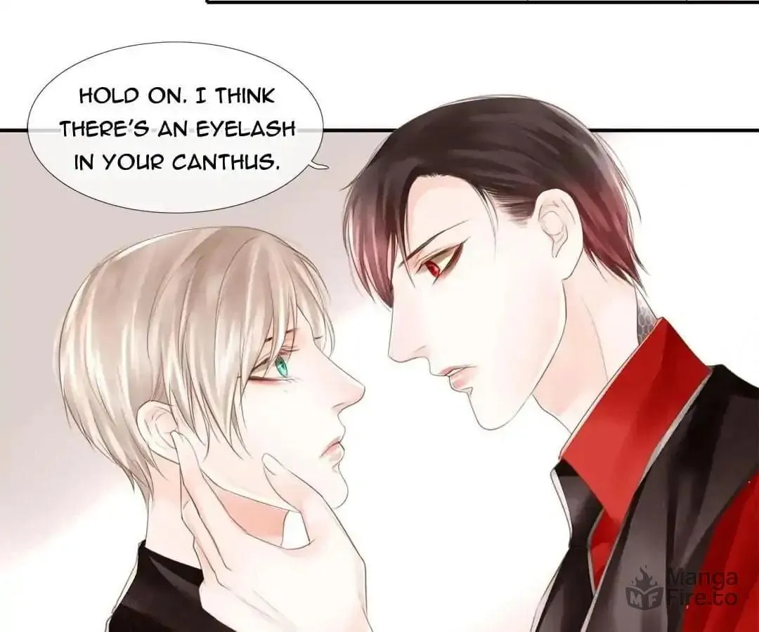 Immortals Down Under Chapter 65 page 3 - 