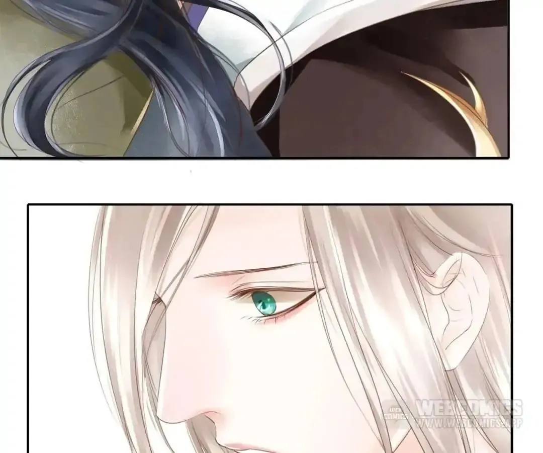 Immortals Down Under Chapter 71 page 13 - 