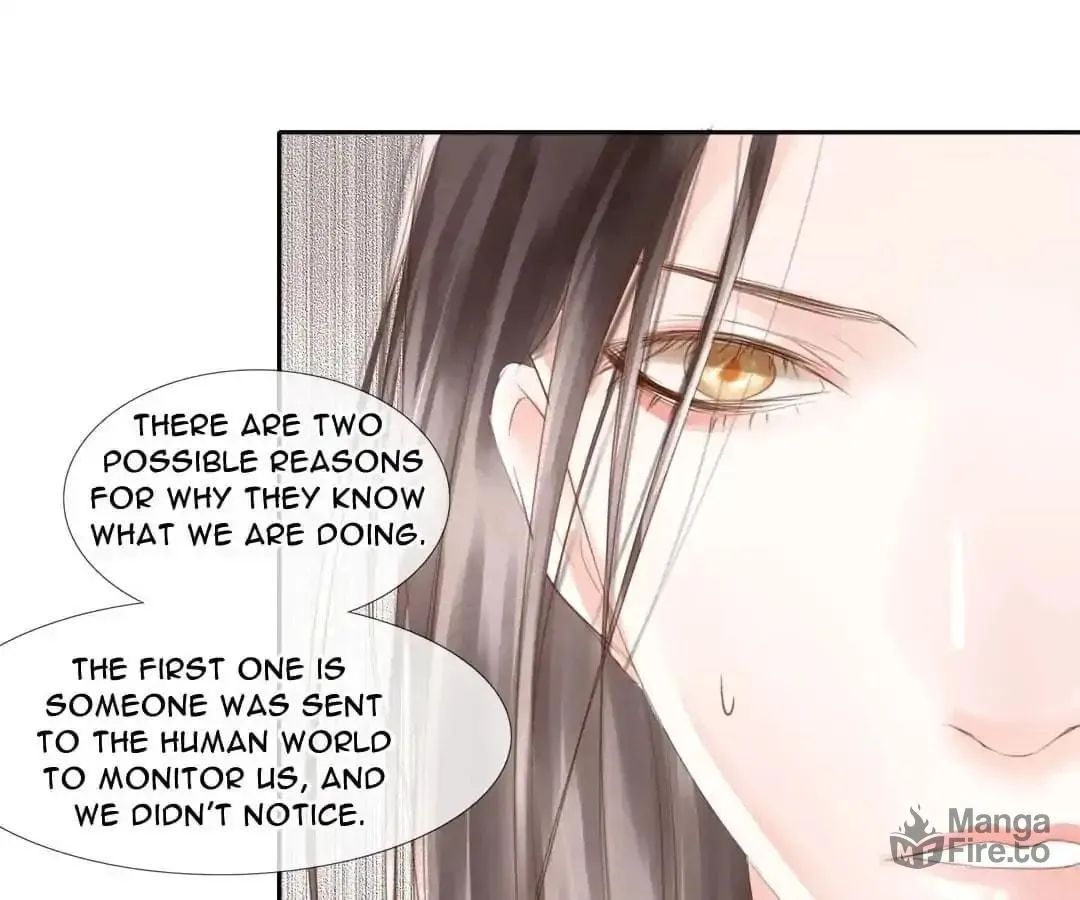 Immortals Down Under Chapter 77 page 36 - 