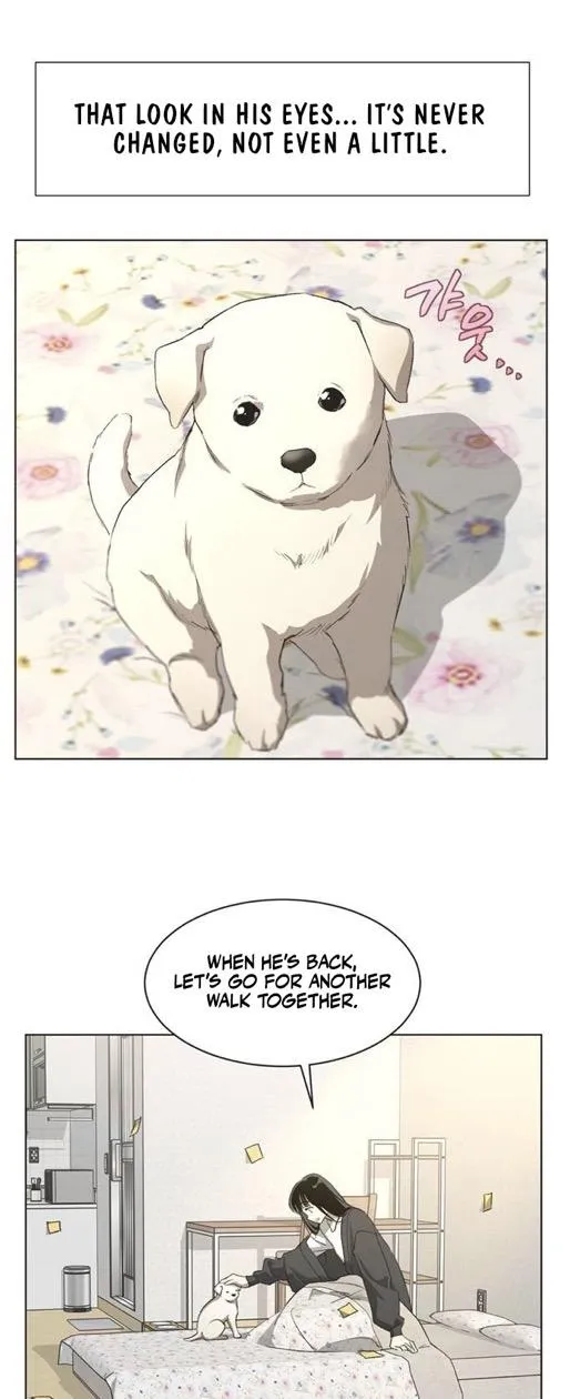 Read Imperfect Cinderella Story chapter 82 image 5 on Lezhin
