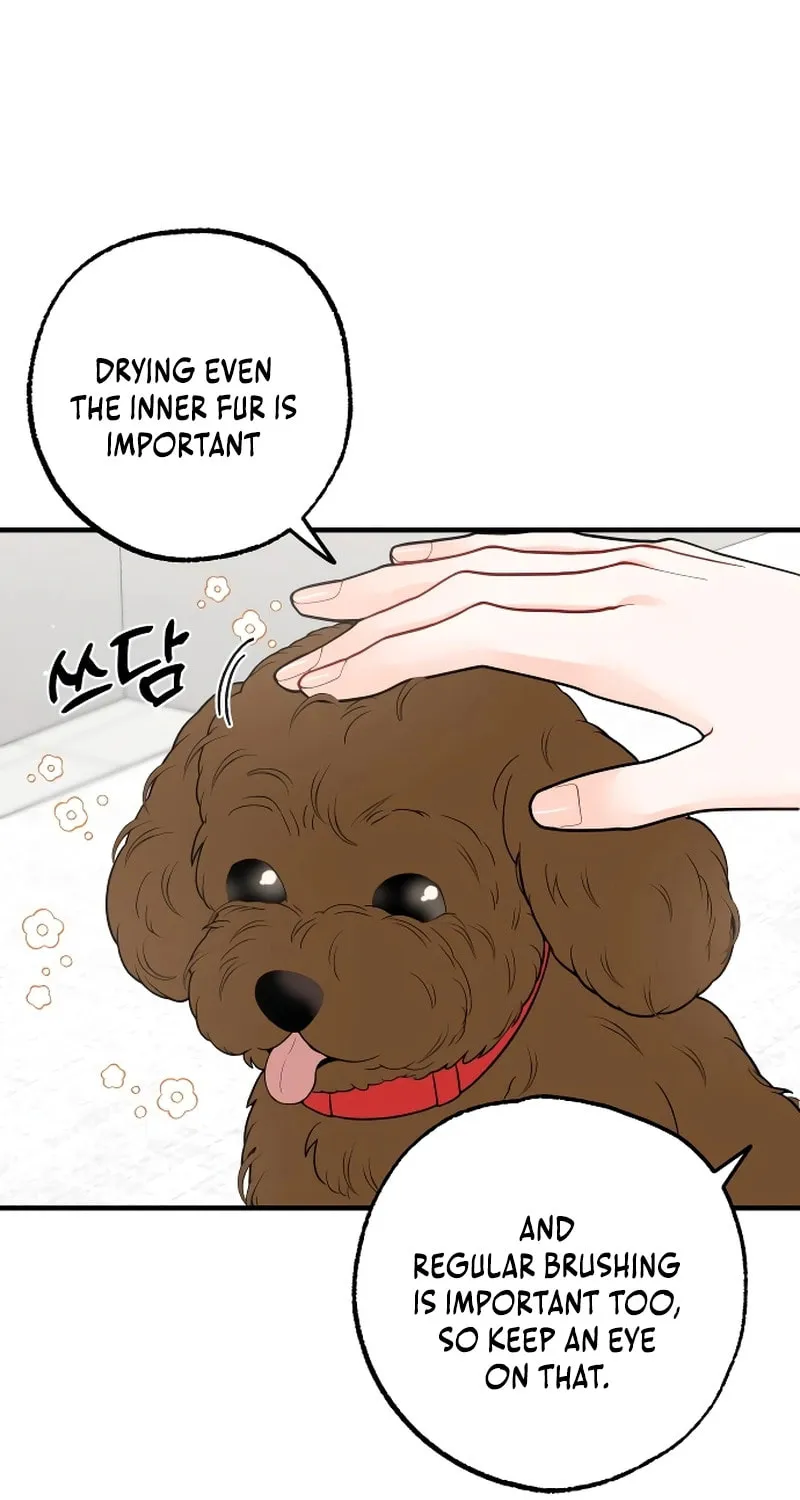 Impressive Chapter 6 page 65 - 