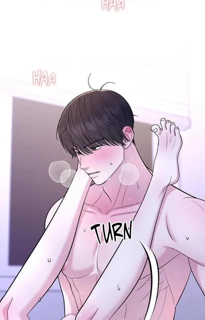 Read In Session chapter 14 image 96 on Lezhin