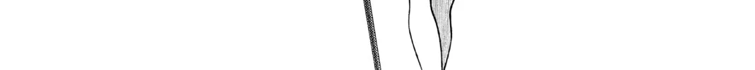 Read In/Spectre chapter 60 image 73 on Lezhin