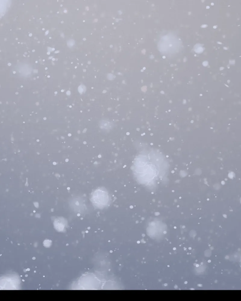 Read In the Bleak Midwinter; chapter 109 image 1 on Lezhin