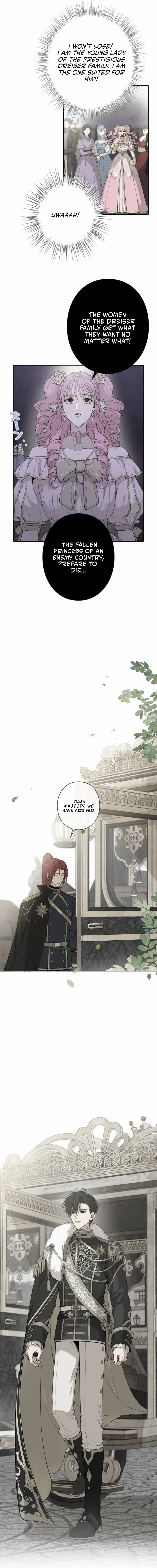 Read In the Ice Emperor’s Birdcage chapter 9 image 10 on Lezhin