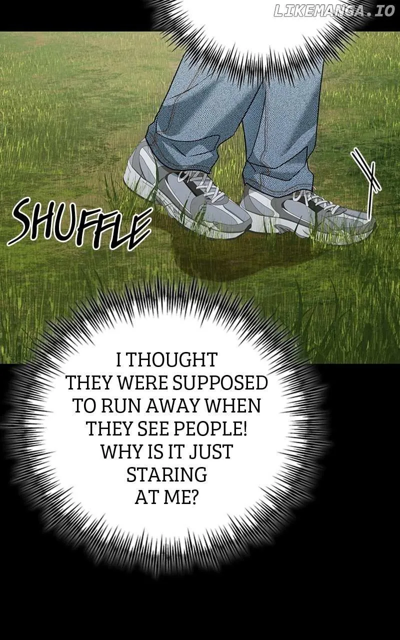 Read In the Spring Shadow chapter 32 image 16 on Lezhin