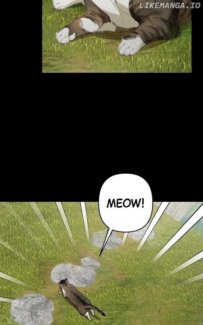 Read In the Spring Shadow chapter 32 image 6 on Lezhin