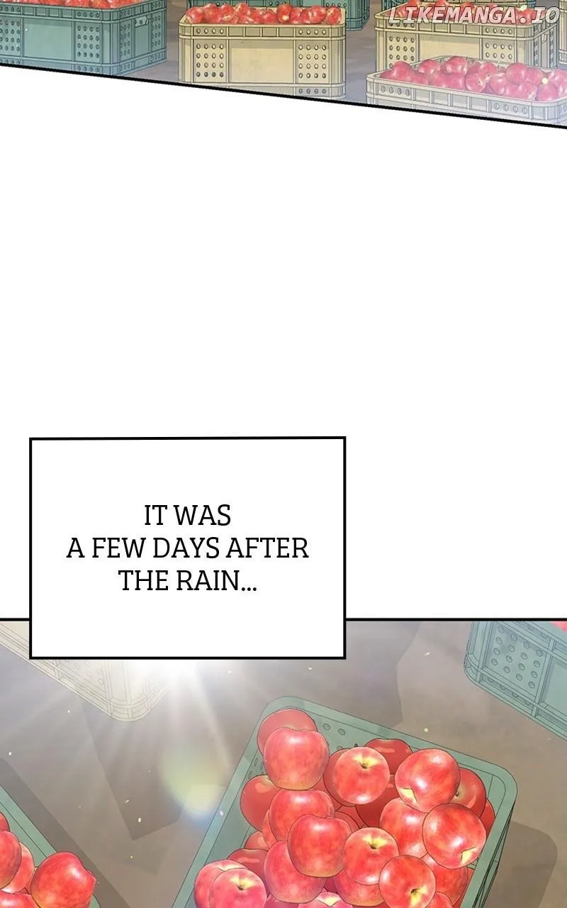 Read In the Spring Shadow chapter 34 image 54 on Lezhin