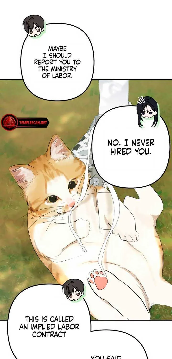 Read In the Spring Shadow chapter 4 image 43 on Lezhin