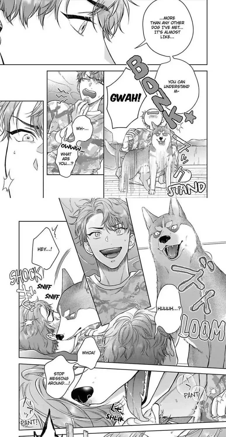 Read Indulging The Insatiable Pup chapter 1.1 image 16 on Lezhin