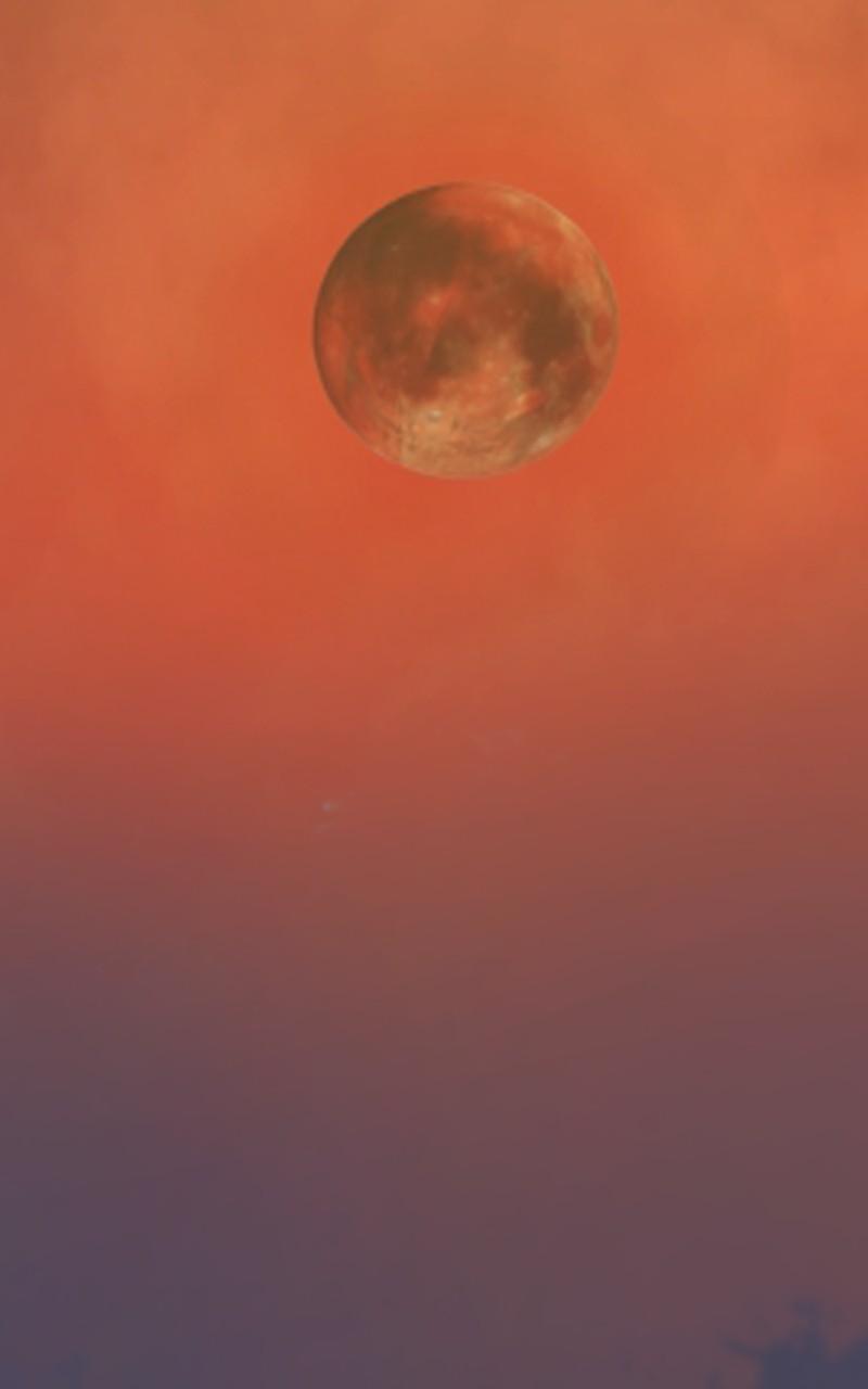 Read Infinite Leveling: Murim chapter 122.9 image 44 on Lezhin