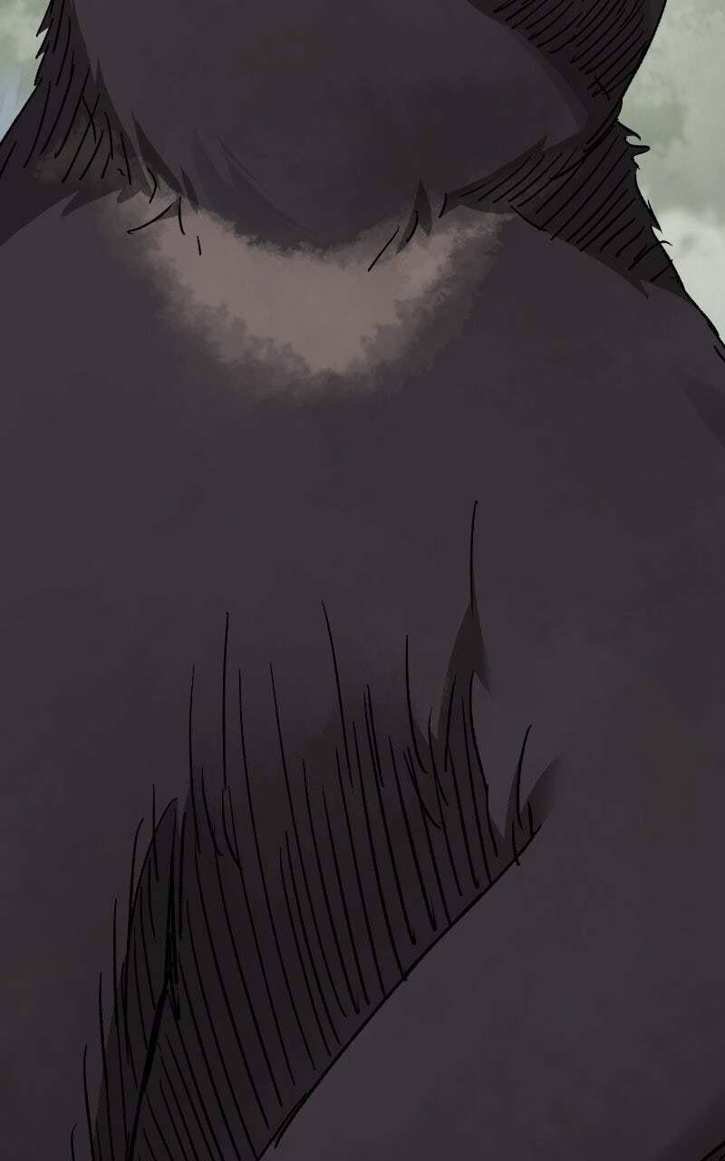 Read Infinite Leveling: Murim chapter 208 image 54 on Lezhin